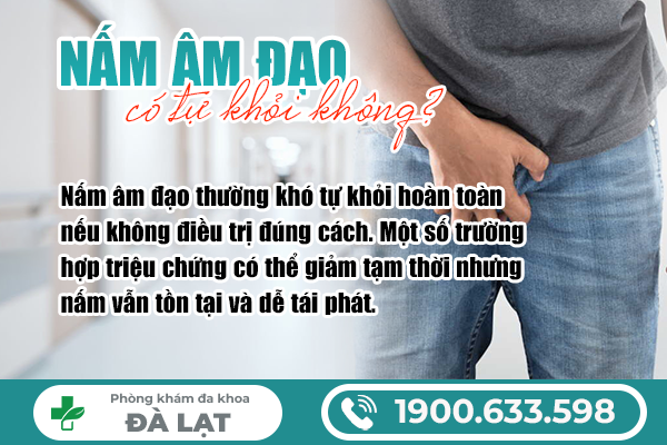 Hình ảnh minh họa